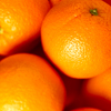 david cook cheltenham photographer bss breakfast oranges 7