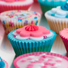 david cook cheltenham bss cup cakes 6