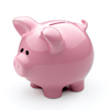 david cook cheltenham photographer pink piggybank
